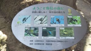 浦山公園野鳥の森
