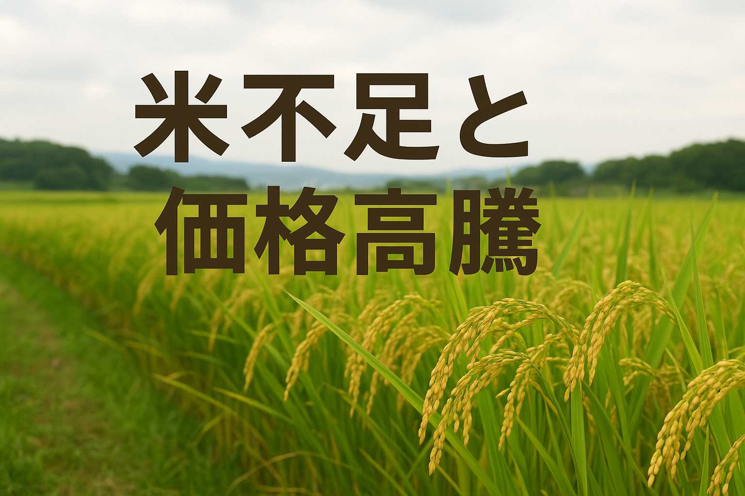 米価格高い理由