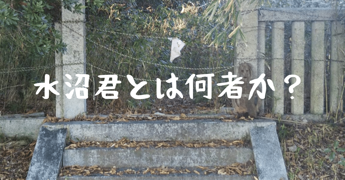 水沼君とは何者か